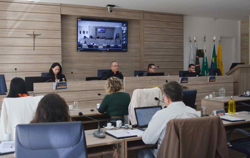 939-reuniao-plenaria