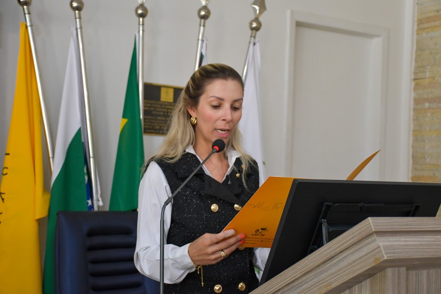 968-reuniao-plenaria-do-crf-pr-marca-inicio-de-nova-gestao-e-celebra-trajetorias-que-fortalecem-a-farmacia