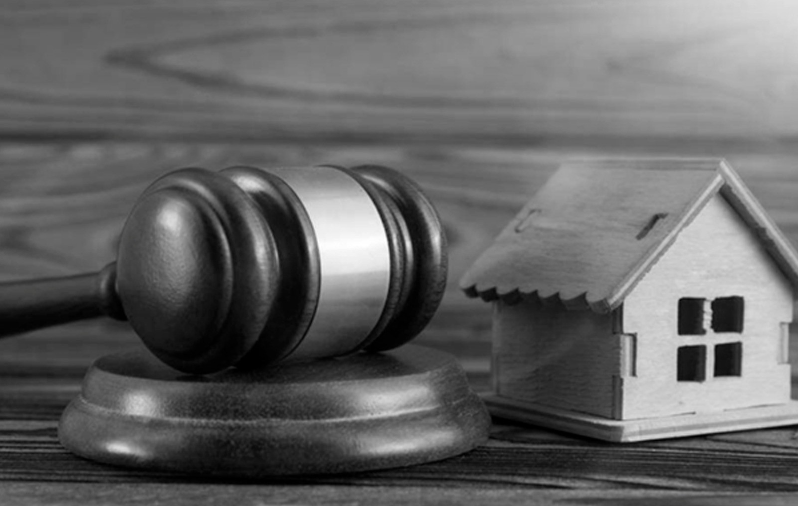 WhatsApp Image 2026-03-12 at 14.55.39.jpeg